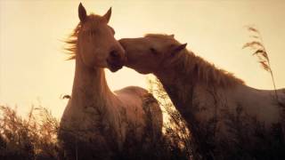 3 HOURS Best Relaxing Romantic Music   Soothing  Piano   1080p