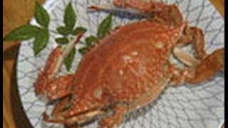 海からのおいしい贈り物　（１４）ガザミ・ＳＷＩＭＭＩＮＧ　ＣＲＡ Ｂ－静岡県・御前崎市－