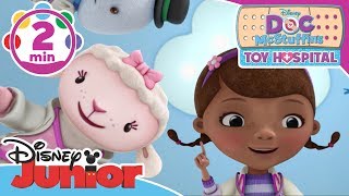 Doc McStuffins | Not For Touching Song | Disney Junior UK