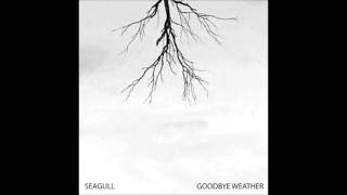 seagull - dust storm