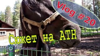 Vlog #20 АТН ТВ у нас в гостях // Мой доп заработок // Чех на рыбалке