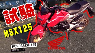 試騎｜本田Honda MSX 125