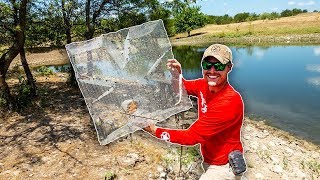 Trapping Fish for the Big Bass Factory