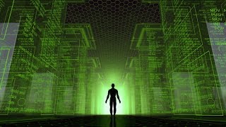 YOUR LIFE IS A COMPUTER SIMULATION