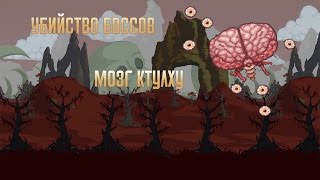 Как убить босса — Мозг Ктулху|How to kill the boss — Brain of Ctulhu[TERRARIA]
