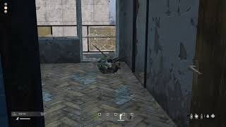 DayZ баги