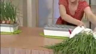 Домашняя гидропонная грядка «Луковое счастье»