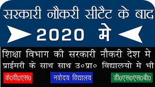 Sarkari naukri after Ctet qualify | What can we do after clearing Ctet?