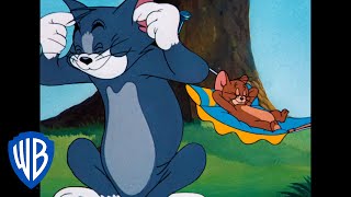 Tom y Jerry en Español | Vamos a reírnos