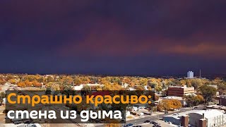 Лесные пожары в Колорадо стали крупнейшими в истории