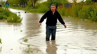 Наводнение в Кахети, вызванное ливневыми дождями - видео