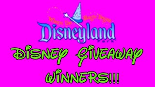 Disney Giveaway Winners!!!