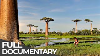 Amazing Quest: Madagascar, Malawi and More | Somewhere on Earth: Best Of Africa