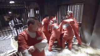 獄霸欺負新人，怎料他们是功夫高手，惹错人了！