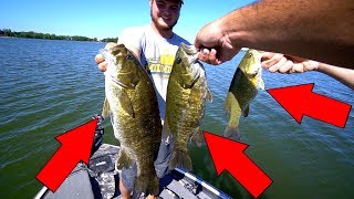 INSANE SUMMER BASS FISHING!!!!