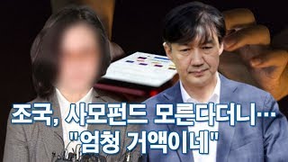 조국, 사모펀드 모른다더니…"엄청 거액이네" [포커스]