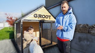 Groot-ის რეაქცია ახალ სახლსა და აქსესუარებზე