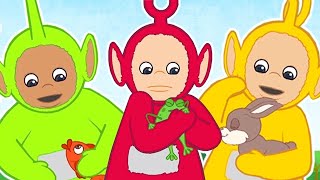 1 2 3 4 5 Once I Caught a Fish Alive + Many Nursery Rhymes for Children | Kids Songs Teletubbies