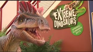 Mass Appeal Explore the fun world of science this summer