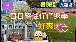 [ 睇樓日記 ] 九龍塘 書院道 博文閣 | 日日睇住仔仔返學 好爽! | College  Crest 41校網  | Queen Jess Home  杰西皇后的秘密 ~縱遊香港