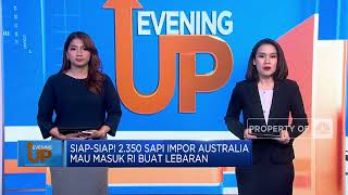 2.350 Sapi Impor Australia Mau Masuk RI Buat Lebaran