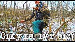 Старинный лес, откуда тут это?