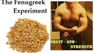 My Anabolic Strength Fenugreek Experiment Results
