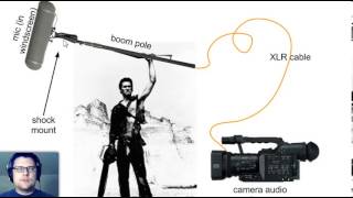 Lesson 5.1 Audio Basics