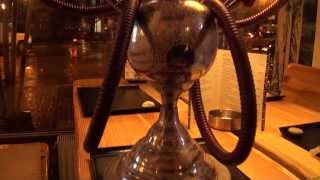 SHISHA x TANUKI
