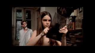 The BROOKE SHIELDS Collection pt. 1 1960s-1979ish