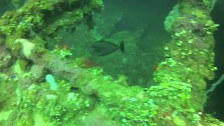 Truk Lagoon Dive #1: Fujikawa Maru