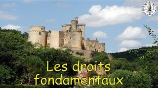 Les droits fondamentaux