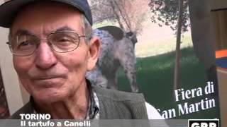 Torino: Il tartufo a Canelli - GRP Televisione