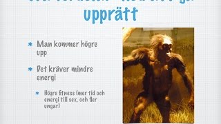 Människans evolution