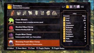 Dark Souls - Mission: cure curse and repair weapon