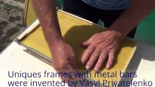 Beekeeping in Ukraine: Unique Ukrainian Frames of Vasyl Priyatelenko