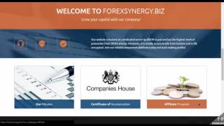 Обзор проекта Forexsynergy biz