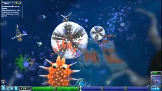 Spore Fase Molecular #1