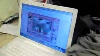2 girls, 1 cup: Reaction Video