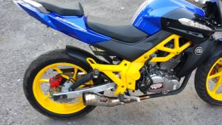 demak dzm 200