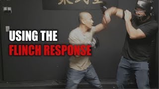 Using the flinch response? - Adam Chan - Kung Fu report