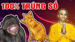 Chấn Động Lời Tiên Tri Chính Xác, 2 Con Giáp Bất Ngờ Trúng Đậm Trả Hết Nợ 7 Ngày Tới Đây