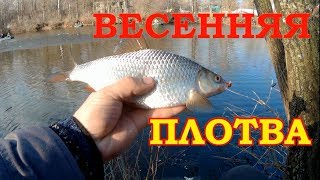 ЛОВЛЯ ОГРОМНОЙ ВЕСЕННЕЙ ПЛОТВЫ НА ПОПЛАВОК