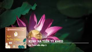 Na Tiên vấn đáp 1