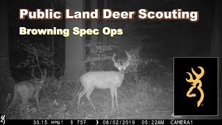 Public Land Deer Scouting - Browning Trail Cam Check