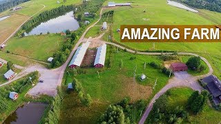 WOW! AMAZING RUSSIAN SHEEP FARM. А new breed of Russian sheep - KATUM