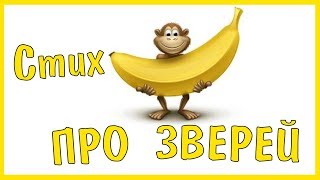 Стих про зверей / Юмор. Смех. Лучшее. Русские приколы 2018/