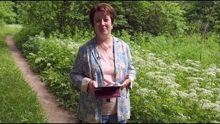 1370. Хлеб на каждый день. Давид истребляет войска.
