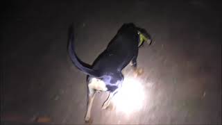 2928
