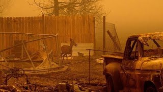 В ООН сообщили о необратимой катастрофе на Земле.
